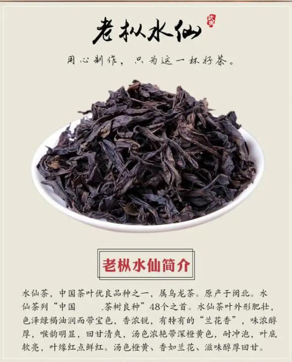 武夷岩茶：什么是老枞水仙？什么又是枞味呢？