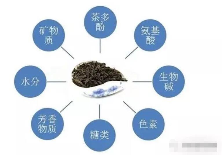 茶叶的组成部分茶色素