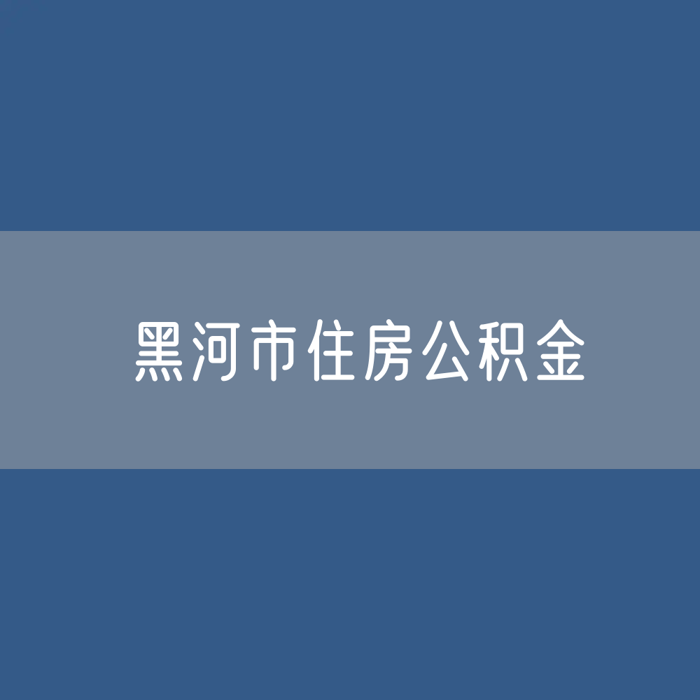 黑河市住房公积金缴存提取贷款数据