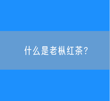 什么是老枞红茶？