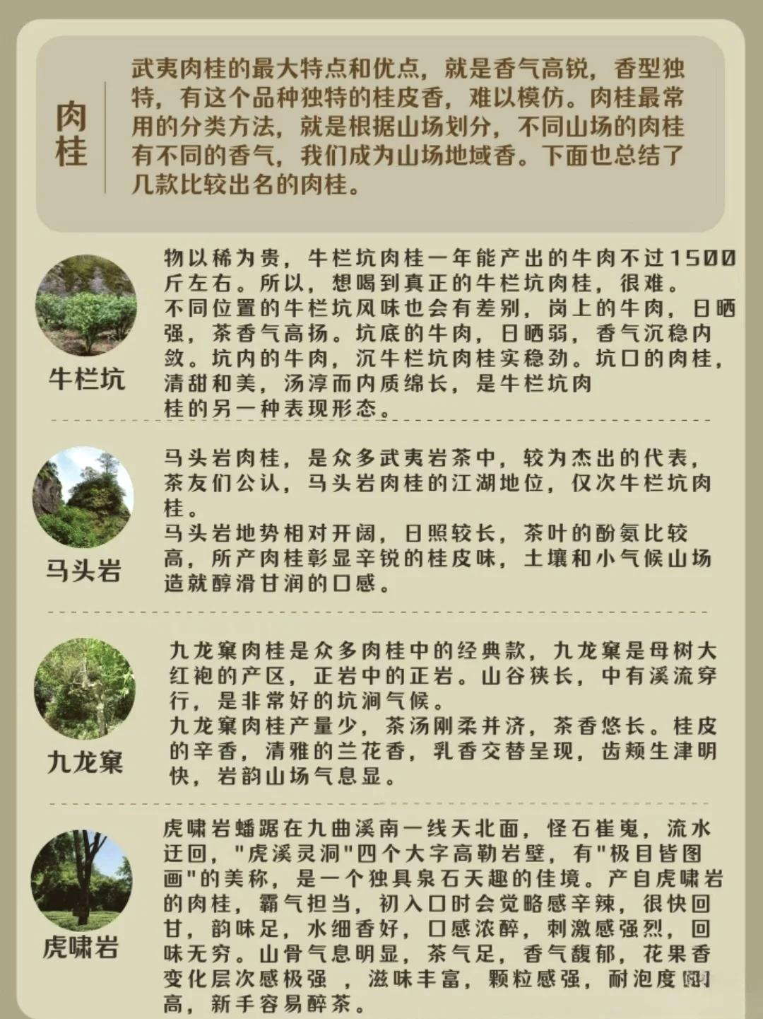 微信图片_20250302144900.png