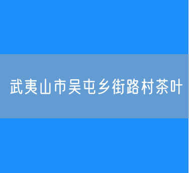 武夷山市吴屯乡街路村茶叶