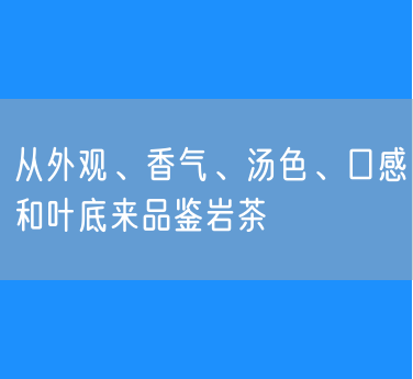 从外观、香气、汤色、口感和叶底来品鉴岩茶