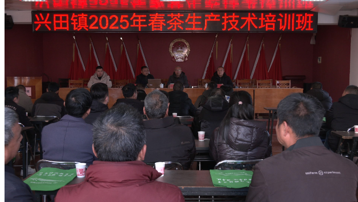 2025年武夷山市兴田镇春茶生产技术培训