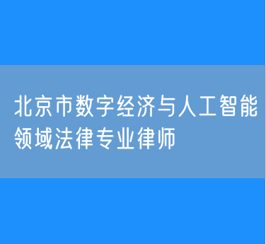 北京市数字经济与人工智能领域法律专业律师