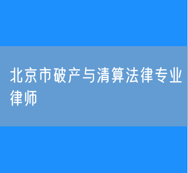 北京市破产与清算法律专业律师