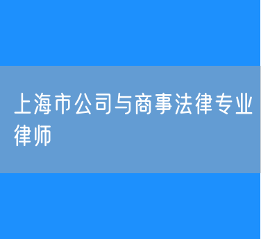 上海市公司与商事法律专业律师