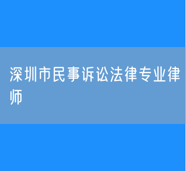 深圳市民事诉讼法律专业律师