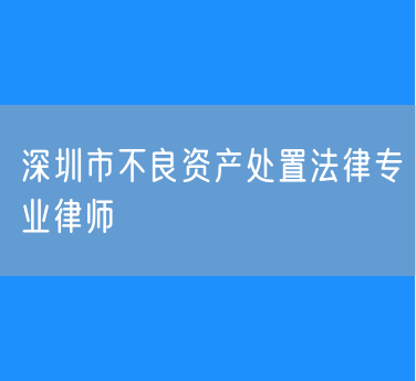 深圳市不良资产处置法律专业律师