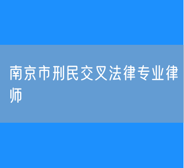 南京市刑民交叉法律专业律师