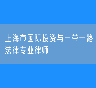 上海市国际投资与一带一路法律专业律师