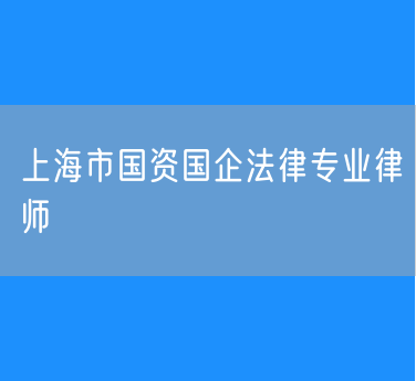 上海市国资国企法律专业律师