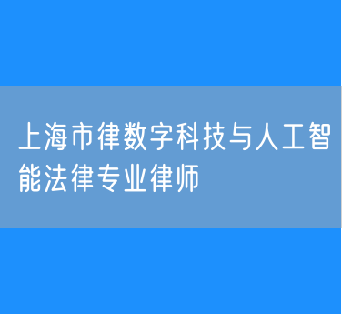 上海市律数字科技与人工智能法律专业律师