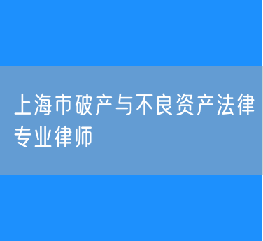 上海市破产与不良资产法律专业律师