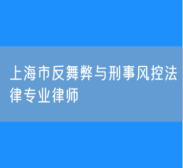 上海市反舞弊与刑事风控法律专业律师