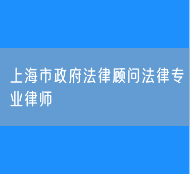 上海市政府法律顾问法律专业律师