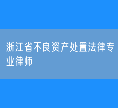 浙江省不良资产处置法律专业律师
