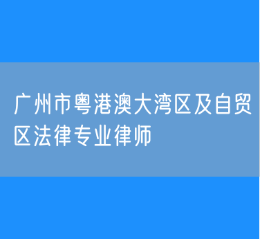广州市粤港澳大湾区及自贸区法律专业律师