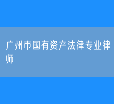 广州市国有资产法律专业律师
