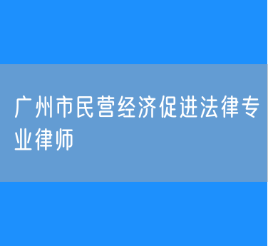 广州市民营经济促进法律专业律师