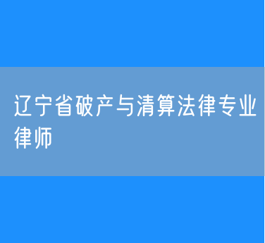 辽宁省破产与清算法律专业律师