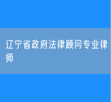 辽宁省政府法律顾问专业律师