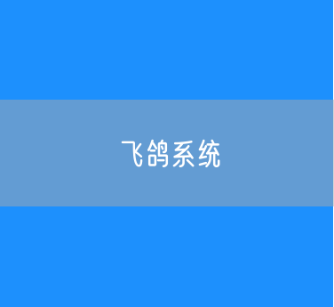 飞鸽系统是做什么用的？