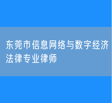 东莞市信息网络与数字经济法律专业律师