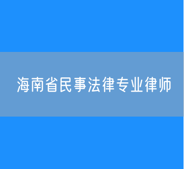 海南省民事法律专业律师