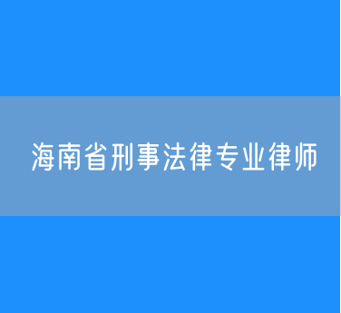 海南省刑事法律专业律师