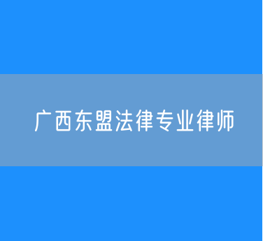 广西东盟法律专业律师