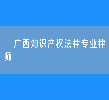 ​广西知识产权法律专业律师