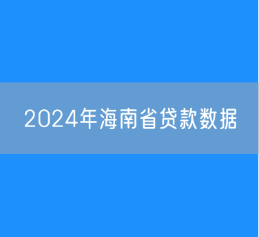 2024年海南省贷款数据