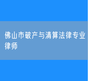 佛山市破产与清算法律专业律师