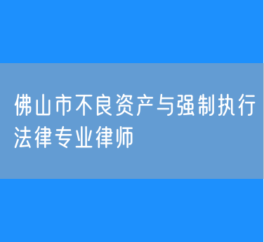 佛山市不良资产与强制执行法律专业律师