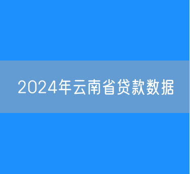 2024年云南省贷款数据