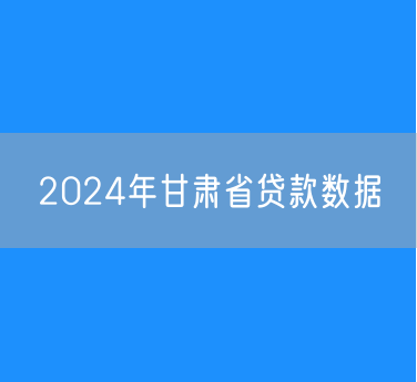 2024年甘肃省贷款数据