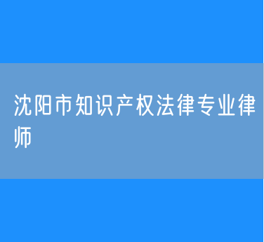沈阳市知识产权法律专业律师