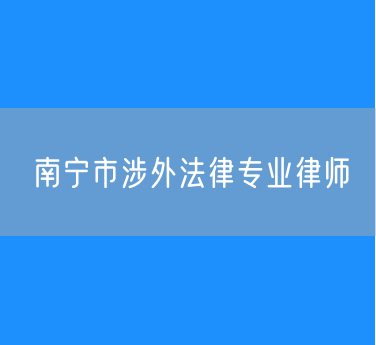 南宁市涉外法律专业律师
