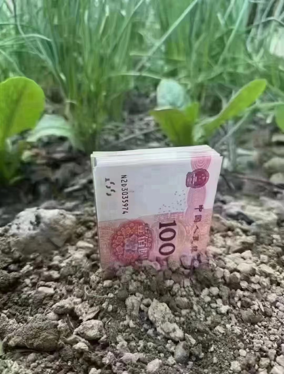 微信图片_20250509161817.jpg
