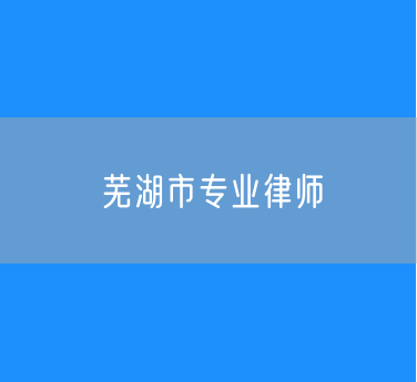 芜湖市知名的专业律师