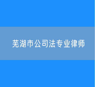 芜湖市公司法专业律师