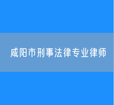 咸阳市刑事法律专业律师