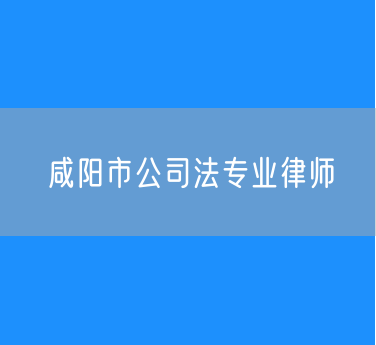 咸阳市公司法专业律师