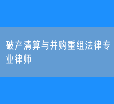 破产清算与并购重组法律专业律师