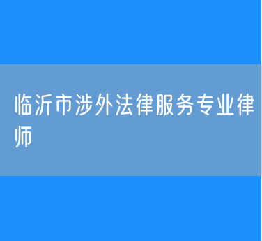 临沂市涉外法律服务专业律师