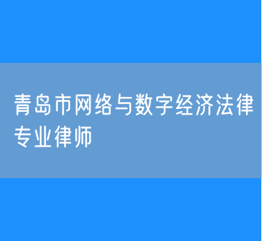 青岛市网络与数字经济法律专业律师
