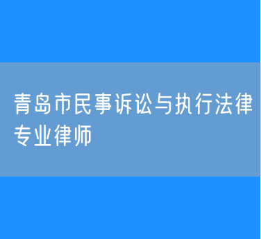 青岛市民事诉讼与执行法律专业律师