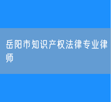 岳阳市知名的知识产权法律专业律师