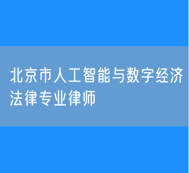 北京市知名的人工智能与数字经济法律专业律师（东城）